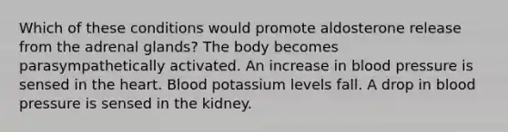 Which of these conditions would promote aldosterone release from the adrenal glands? The body becomes parasympathetically activated. An increase in blood pressure is sensed in the heart. Blood potassium levels fall. A drop in blood pressure is sensed in the kidney.