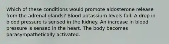 Which of these conditions would promote aldosterone release from the adrenal glands? Blood potassium levels fall. A drop in blood pressure is sensed in the kidney. An increase in blood pressure is sensed in the heart. The body becomes parasympathetically activated.