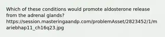 Which of these conditions would promote aldosterone release from the adrenal glands?https://session.masteringaandp.com/problemAsset/2823452/1/mariebhap11_ch16q23.jpg