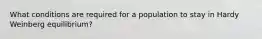 What conditions are required for a population to stay in Hardy Weinberg equilibrium?