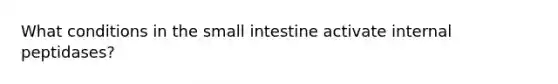 What conditions in the small intestine activate internal peptidases?