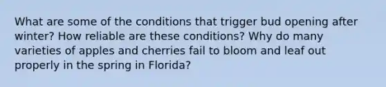 What are some of the conditions that trigger bud opening after winter? How reliable are these conditions? Why do many varieties of apples and cherries fail to bloom and leaf out properly in the spring in Florida?