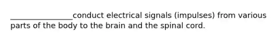 ________________conduct electrical signals (impulses) from various parts of the body to <a href='https://www.questionai.com/knowledge/kLMtJeqKp6-the-brain' class='anchor-knowledge'>the brain</a> and <a href='https://www.questionai.com/knowledge/kkAfzcJHuZ-the-spinal-cord' class='anchor-knowledge'>the spinal cord</a>.