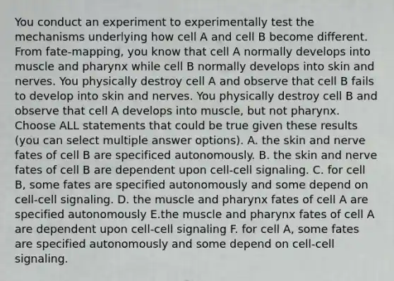 You conduct an experiment to experimentally test the mechanisms underlying how cell A and cell B become different. From fate-mapping, you know that cell A normally develops into muscle and pharynx while cell B normally develops into skin and nerves. You physically destroy cell A and observe that cell B fails to develop into skin and nerves. You physically destroy cell B and observe that cell A develops into muscle, but not pharynx. Choose ALL statements that could be true given these results (you can select multiple answer options). A. the skin and nerve fates of cell B are specificed autonomously. B. the skin and nerve fates of cell B are dependent upon cell-cell signaling. C. for cell B, some fates are specified autonomously and some depend on cell-cell signaling. D. the muscle and pharynx fates of cell A are specified autonomously E.the muscle and pharynx fates of cell A are dependent upon cell-cell signaling F. for cell A, some fates are specified autonomously and some depend on cell-cell signaling.