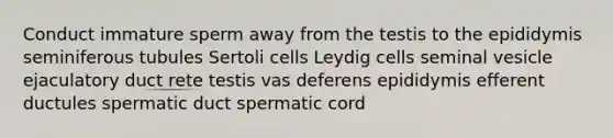 Conduct immature sperm away from the testis to the epididymis seminiferous tubules Sertoli cells Leydig cells seminal vesicle ejaculatory duct rete testis vas deferens epididymis efferent ductules spermatic duct spermatic cord