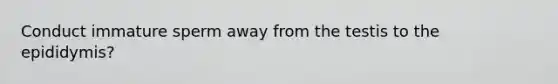 Conduct immature sperm away from the testis to the epididymis?
