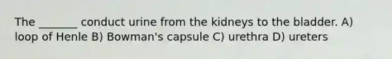 The _______ conduct urine from the kidneys to the bladder. A) loop of Henle B) Bowman's capsule C) urethra D) ureters