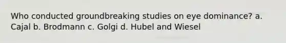 Who conducted groundbreaking studies on eye dominance? a. Cajal b. Brodmann c. Golgi d. Hubel and Wiesel