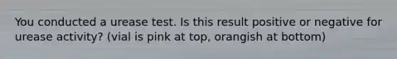 You conducted a urease test. Is this result positive or negative for urease activity? (vial is pink at top, orangish at bottom)
