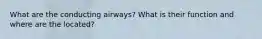 What are the conducting airways? What is their function and where are the located?