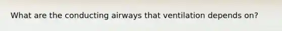 What are the conducting airways that ventilation depends on?
