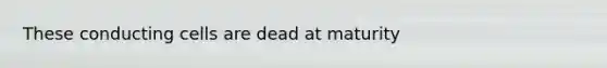 These conducting cells are dead at maturity