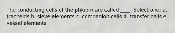 The conducting cells of the phloem are called ____. Select one: a. tracheids b. sieve elements c. companion cells d. transfer cells e. vessel elements