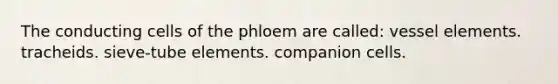 The conducting cells of the phloem are called: vessel elements. tracheids. sieve-tube elements. companion cells.