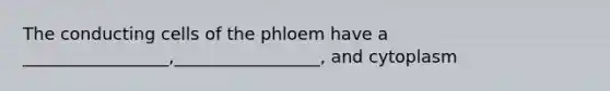 The conducting cells of the phloem have a _________________,_________________, and cytoplasm