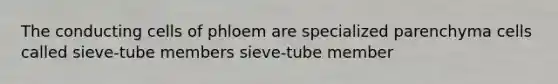 The conducting cells of phloem are specialized parenchyma cells called sieve-tube members sieve-tube member