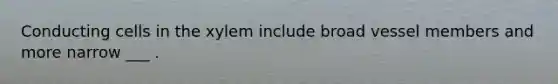 Conducting cells in the xylem include broad vessel members and more narrow ___ .