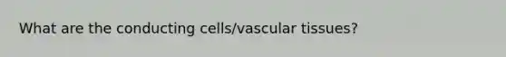 What are the conducting cells/vascular tissues?