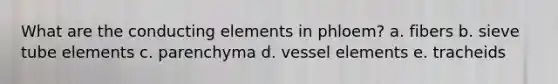 What are the conducting elements in phloem? a. fibers b. sieve tube elements c. parenchyma d. vessel elements e. tracheids