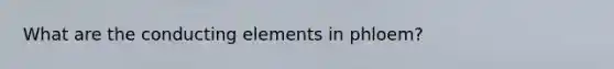 What are the conducting elements in phloem?