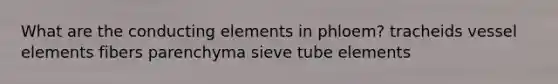 What are the conducting elements in phloem? tracheids vessel elements fibers parenchyma sieve tube elements