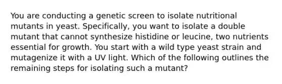 You are conducting a genetic screen to isolate nutritional mutants in yeast. Specifically, you want to isolate a double mutant that cannot synthesize histidine or leucine, two nutrients essential for growth. You start with a wild type yeast strain and mutagenize it with a UV light. Which of the following outlines the remaining steps for isolating such a mutant?