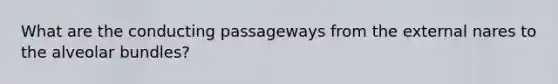 What are the conducting passageways from the external nares to the alveolar bundles?