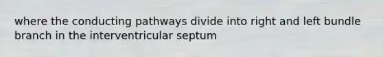 where the conducting pathways divide into right and left bundle branch in the interventricular septum