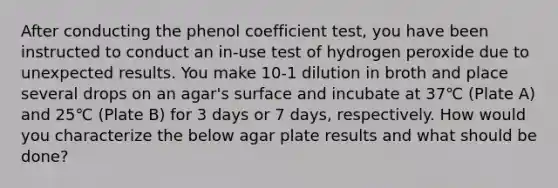 After conducting the phenol coefficient test, you have been instructed to conduct an in-use test of hydrogen peroxide due to unexpected results. You make 10-1 dilution in broth and place several drops on an agar's surface and incubate at 37℃ (Plate A) and 25℃ (Plate B) for 3 days or 7 days, respectively. How would you characterize the below agar plate results and what should be done?