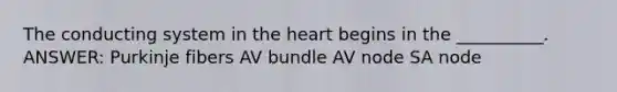 The conducting system in the heart begins in the __________. ANSWER: Purkinje fibers AV bundle AV node SA node