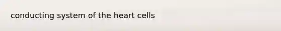 conducting system of the heart cells