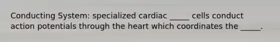 Conducting System: specialized cardiac _____ cells conduct action potentials through the heart which coordinates the _____.