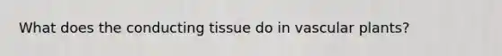 What does the conducting tissue do in vascular plants?