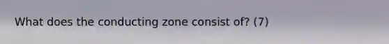 What does the conducting zone consist of? (7)