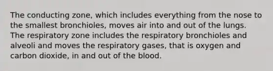 The conducting zone, which includes everything from the nose to the smallest bronchioles, moves air into and out of the lungs. The respiratory zone includes the respiratory bronchioles and alveoli and moves the respiratory gases, that is oxygen and carbon dioxide, in and out of the blood.