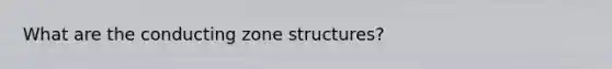 What are the conducting zone structures?