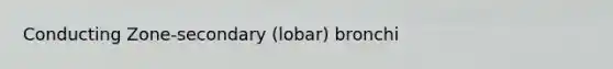 Conducting Zone-secondary (lobar) bronchi