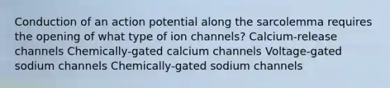 Conduction of an action potential along the sarcolemma requires the opening of what type of ion channels? Calcium-release channels Chemically-gated calcium channels Voltage-gated sodium channels Chemically-gated sodium channels