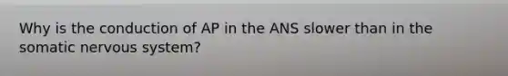 Why is the conduction of AP in the ANS slower than in the somatic nervous system?