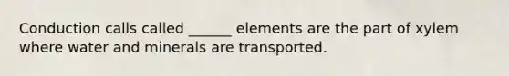 Conduction calls called ______ elements are the part of xylem where water and minerals are transported.