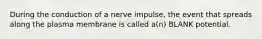 During the conduction of a nerve impulse, the event that spreads along the plasma membrane is called a(n) BLANK potential.