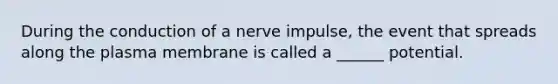 During the conduction of a nerve impulse, the event that spreads along the plasma membrane is called a ______ potential.