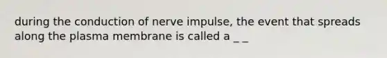 during the conduction of nerve impulse, the event that spreads along the plasma membrane is called a _ _