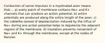 Conduction of nerve impulses in a myelinated axon means that.... a) every patch of membrane contains Na+ and K+ channels that can produce an action potential. b) action potentials are produced along the entire length of the axon. c) the cablelike spread of depolarization induced by the influx of Na+ during one action potential helps to depolarize the adjacent regions of the membrane. d) insulation prevents movement of Na+ and K+ through the membrane, except at the nodes of Ranvier.