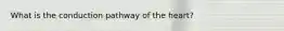 What is the conduction pathway of the heart?