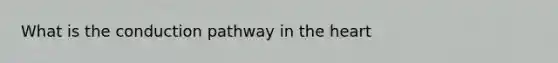 What is the conduction pathway in the heart