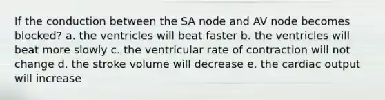 If the conduction between the SA node and AV node becomes blocked? a. the ventricles will beat faster b. the ventricles will beat more slowly c. the ventricular rate of contraction will not change d. the stroke volume will decrease e. the cardiac output will increase