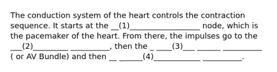 The conduction system of the heart controls the contraction sequence. It starts at the __(1)__________________ node, which is the pacemaker of the heart. From there, the impulses go to the ___(2)_________ __________, then the _ ____(3)___ ______ __________ ( or AV Bundle) and then __ ______(4)____________ __________.