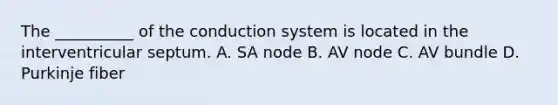 The __________ of the conduction system is located in the interventricular septum. A. SA node B. AV node C. AV bundle D. Purkinje fiber