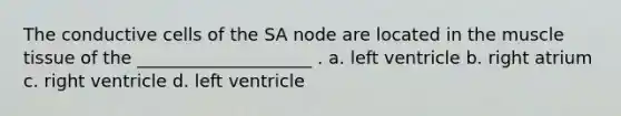 The conductive cells of the SA node are located in the muscle tissue of the ____________________ . a. left ventricle b. right atrium c. right ventricle d. left ventricle